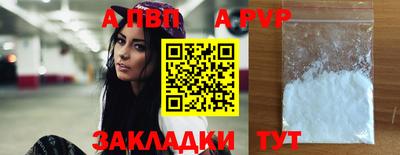 спиды Ярославль
